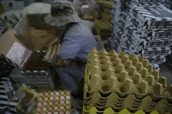 张瑞芹说,她所在的这家公司以线上经营,线下配送土鸡蛋为主.