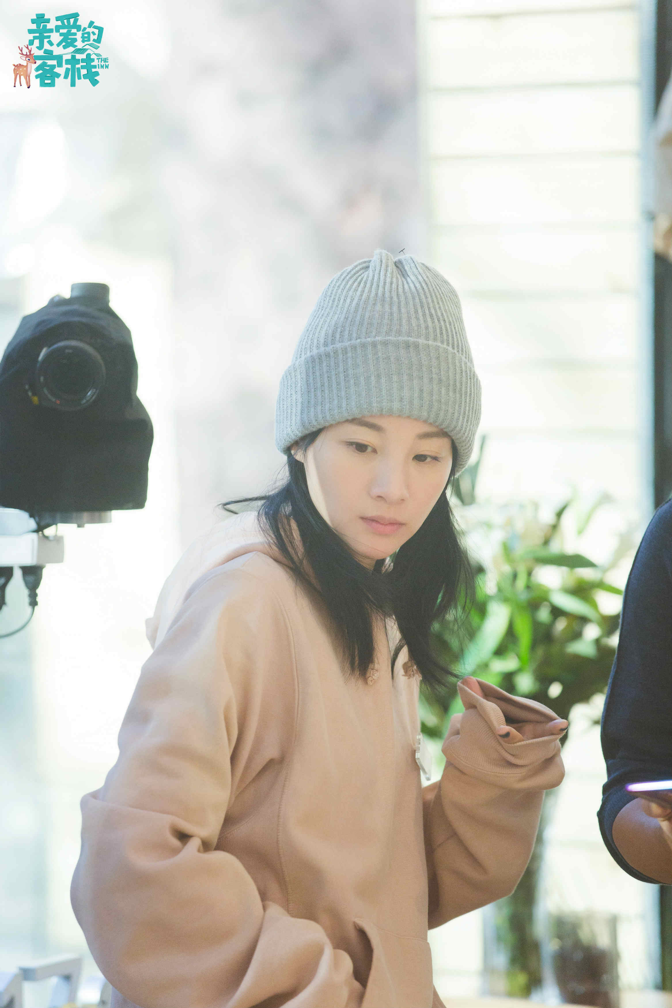 亲爱的客栈收视九连冠陈龙点赞刘涛王珂初衷珍贵