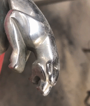 爆笑gif图害我激动半天我还以为裙子掉了呢