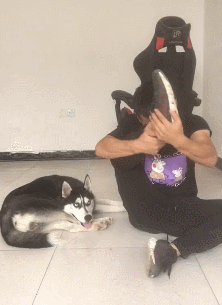 gif图:好担心会失误,这被戳一下,肯定很疼的吧 - 360娱乐,你开心就好