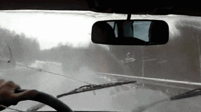 搞笑gif: 孩子你这么妖艳,你爸妈知道吗?