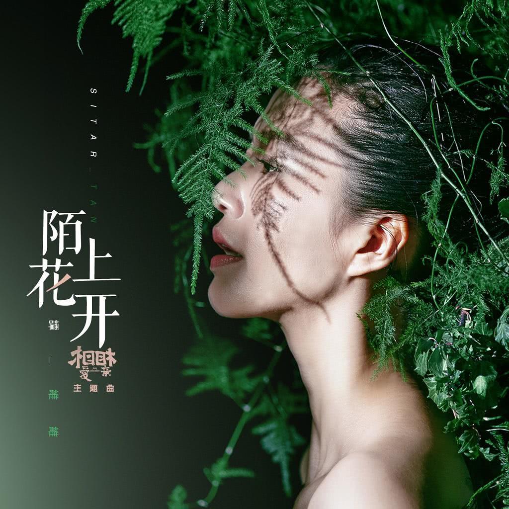 谭维维《陌上花开》再入围金像奖最佳原创电影歌曲