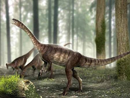 2亿多年前长颈恐龙被发现体型如小汽车大小