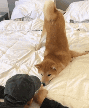 厉害啊大哥, 麻烦帮我开个女更衣室的传送门 - 360娱乐,你开心就好