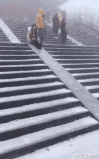 搞笑GIF: 一只能蛙泳和仰泳随意切换的青蛙! - 360娱乐,你开心就好