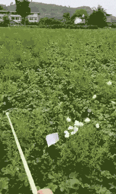 搞笑gif: 我以为我猜到了结尾 - 360娱乐,你开心就好