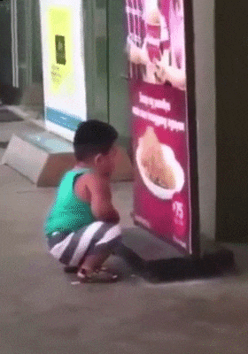 t01f8f8b1ac77e6bb6d.gif